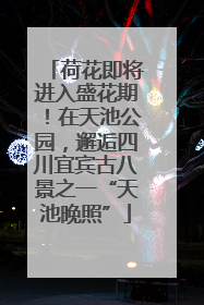 荷花即将进入盛花期！在天池公园，邂逅四川宜宾古八景之一“天池晚照”