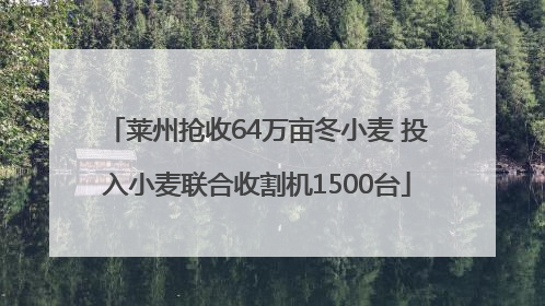 莱州抢收64万亩冬小麦 投入小麦联合收割机1500台