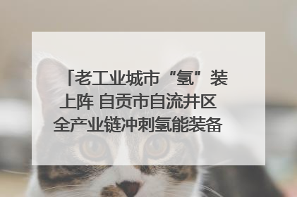 老工业城市“氢”装上阵 自贡市自流井区全产业链冲刺氢能装备制造新高地｜美好生活有“盐”味