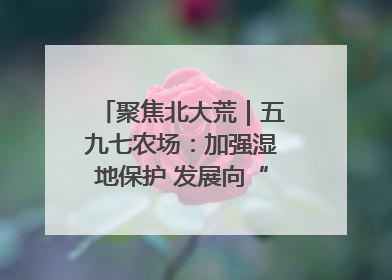 聚焦北大荒｜五九七农场：加强湿地保护 发展向“绿”而行