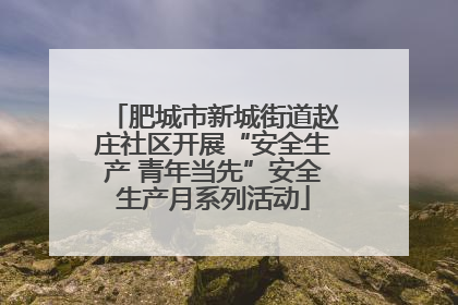 肥城市新城街道赵庄社区开展“安全生产 青年当先”安全生产月系列活动