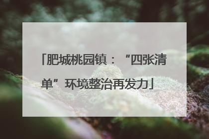 肥城桃园镇：“四张清单”环境整治再发力
