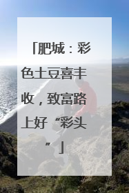 肥城：彩色土豆喜丰收，致富路上好“彩头”