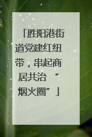 胜阳港街道党建红纽带，串起商居共治 “烟火圈”