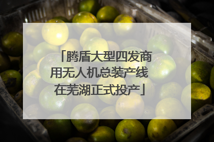 腾盾大型四发商用无人机总装产线在芜湖正式投产