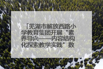 芜湖市解放西路小学教育集团开展“素养导向——内容结构化探索教学实践”数学专题研讨活动