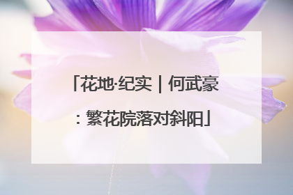 花地·纪实｜何武豪：繁花院落对斜阳