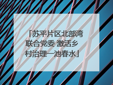 苏平片区北部湾联合党委 激活乡村治理一池春水