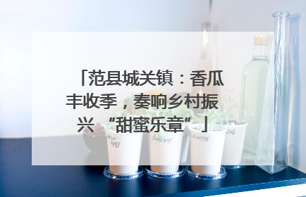 范县城关镇：香瓜丰收季，奏响乡村振兴 “甜蜜乐章”