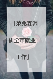 范兆森调研全市就业工作