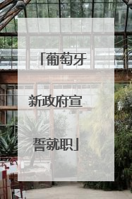 葡萄牙新政府宣誓就职