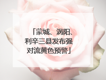 蒙城、涡阳、利辛三县发布强对流黄色预警