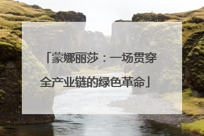 蒙娜丽莎：一场贯穿全产业链的绿色革命