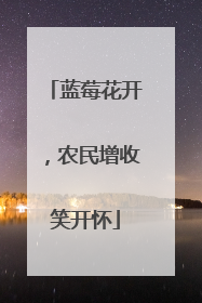 蓝莓花开，农民增收笑开怀