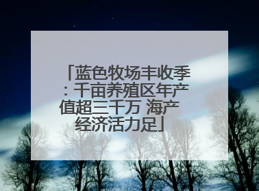 蓝色牧场丰收季：千亩养殖区年产值超三千万 海产经济活力足