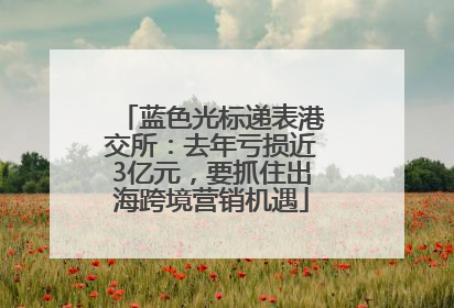 蓝色光标递表港交所：去年亏损近3亿元，要抓住出海跨境营销机遇