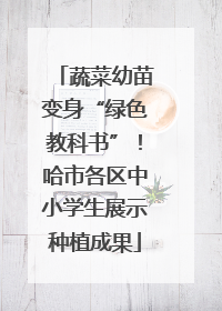 蔬菜幼苗变身“绿色教科书”！哈市各区中小学生展示种植成果