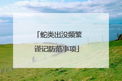 蛇类出没频繁 谨记防范事项