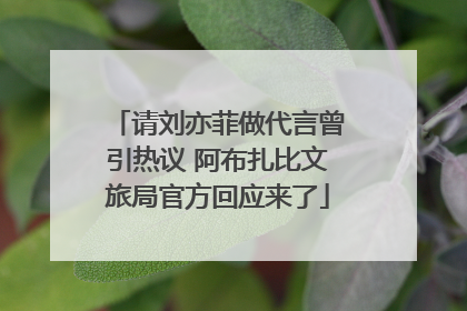 请刘亦菲做代言曾引热议 阿布扎比文旅局官方回应来了