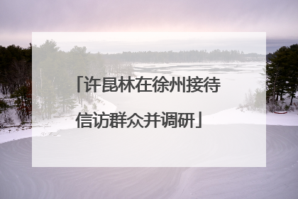 许昆林在徐州接待信访群众并调研