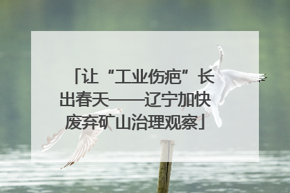 让“工业伤疤”长出春天——辽宁加快废弃矿山治理观察