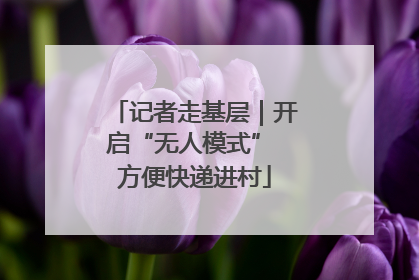 记者走基层｜开启“无人模式” 方便快递进村