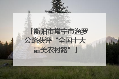 衡阳市常宁市渔罗公路获评“全国十大最美农村路”
