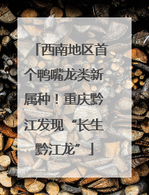 西南地区首个鸭嘴龙类新属种！重庆黔江发现“长生黔江龙”