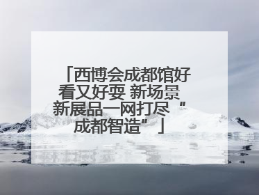 西博会成都馆好看又好耍 新场景新展品一网打尽“成都智造”
