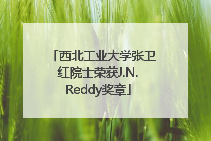 西北工业大学张卫红院士荣获J.N.Reddy奖章