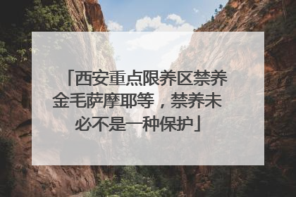 西安重点限养区禁养金毛萨摩耶等，禁养未必不是一种保护