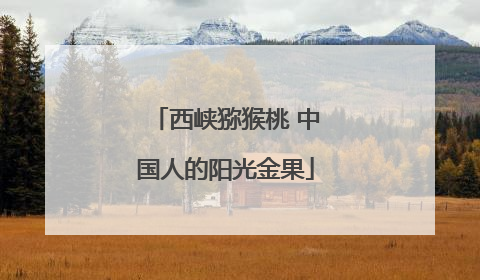 西峡猕猴桃 中国人的阳光金果