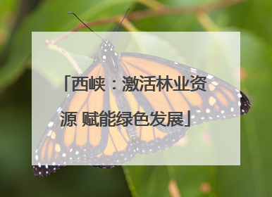西峡：激活林业资源 赋能绿色发展