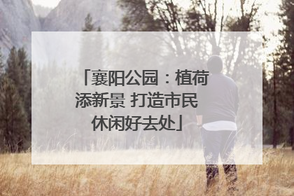 襄阳公园：植荷添新景 打造市民休闲好去处