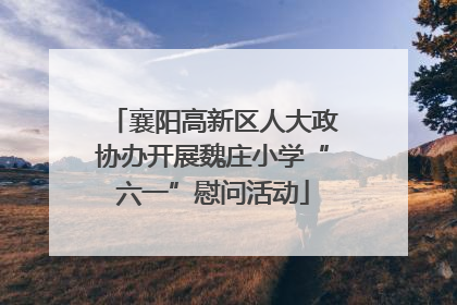 襄阳高新区人大政协办开展魏庄小学“六一”慰问活动