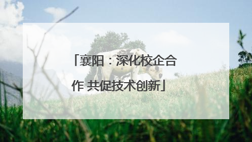 襄阳：深化校企合作 共促技术创新