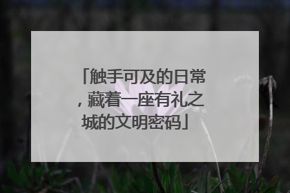 触手可及的日常，藏着一座有礼之城的文明密码
