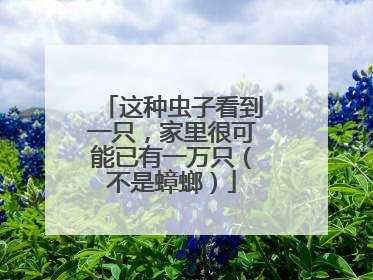 这种虫子看到一只，家里很可能已有一万只（不是蟑螂）