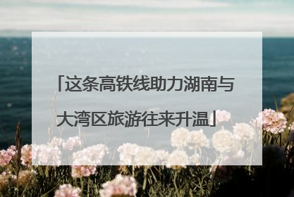 这条高铁线助力湖南与大湾区旅游往来升温