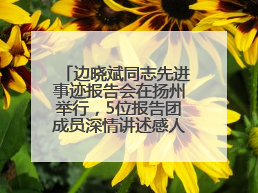 边晓斌同志先进事迹报告会在扬州举行，5位报告团成员深情讲述感人故事和先进事迹
