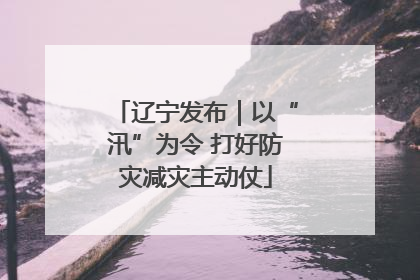 辽宁发布｜以“汛”为令 打好防灾减灾主动仗