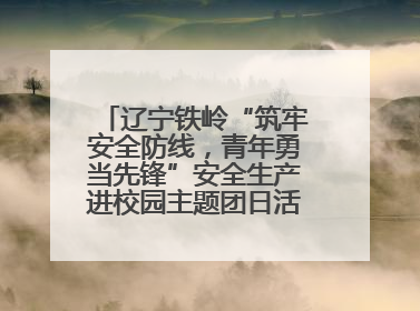 辽宁铁岭“筑牢安全防线，青年勇当先锋”安全生产进校园主题团日活动举行