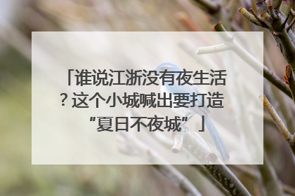 谁说江浙没有夜生活？这个小城喊出要打造“夏日不夜城”