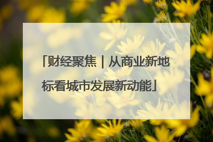 财经聚焦｜从商业新地标看城市发展新动能