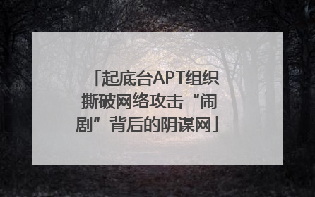 起底台APT组织 撕破网络攻击“闹剧”背后的阴谋网