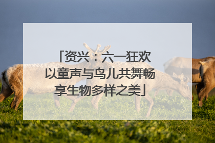 资兴：六一狂欢 以童声与鸟儿共舞畅享生物多样之美
