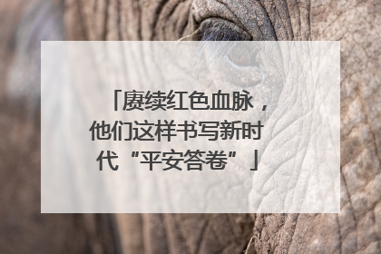 赓续红色血脉，他们这样书写新时代“平安答卷”
