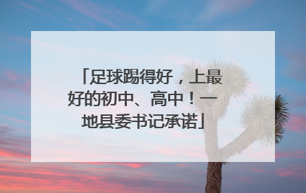 足球踢得好，上最好的初中、高中！一地县委书记承诺