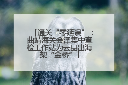 通关“零延误”：曲靖海关会泽集中查检工作站为云品出海架“金桥”
