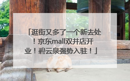 逛街又多了一个新去处！京东mall双井店开业！碧云泉强势入驻！
